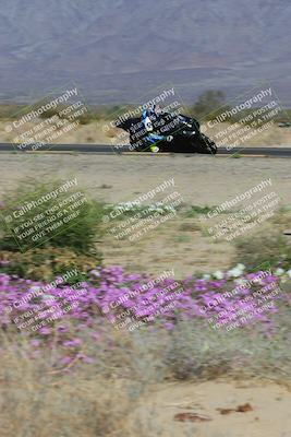 media/Feb-04-2023-SoCal Trackdays (Sat) [[8a776bf2c3]]/Turn 15 Inside Blooming (1050am)/